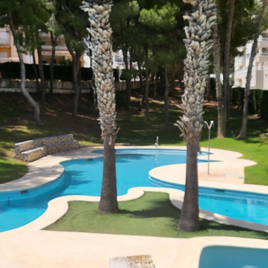 Apartamento Ines, Dehesa De Campoamor,900M From The Sea , Swimming Pool & Tennis Court 외부 사진
