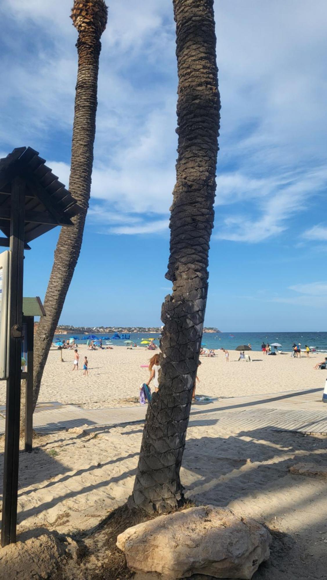 Apartamento Ines, Dehesa De Campoamor,900M From The Sea , Swimming Pool & Tennis Court 외부 사진